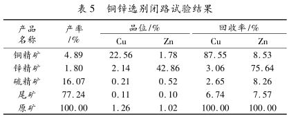 铜锌闭路实验结果